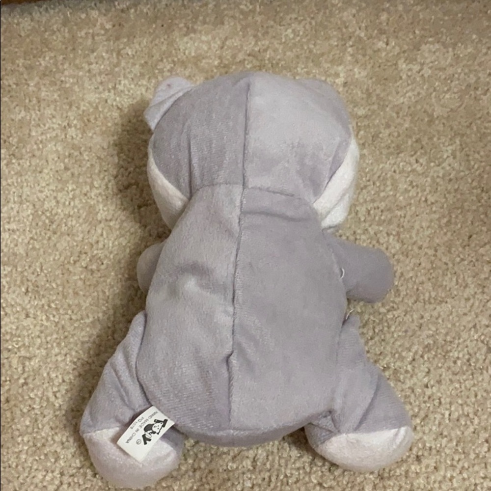Gray Cat - Picture 2 of 3